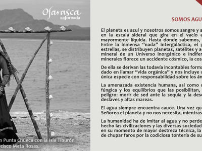 Suplemento Ojarasca #341