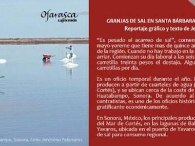 Suplemento Ojarasca #344