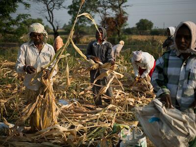 Territorio, comunidad y alimentos para la vida