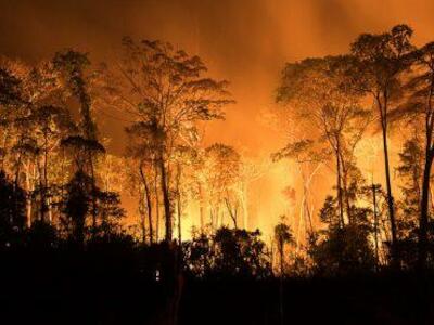 Foto: Bruno Kelly/Amazonia Real