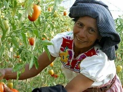 ¿Tiene la agroecología una dimensión simbólica?