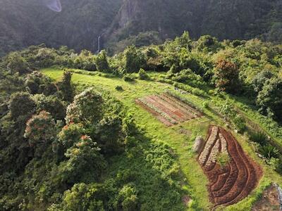 Tierra, lucha de clases y soberanía alimentaria. Debate Agroecológico en Puerto Rico