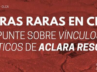 Tierras raras en Chile: apuntes sobre vínculos geopolíticos de Aclara Resources