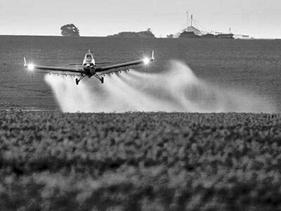 Transformaciones en los modos de enfermar y morir en la región agroindustrial de Argentina