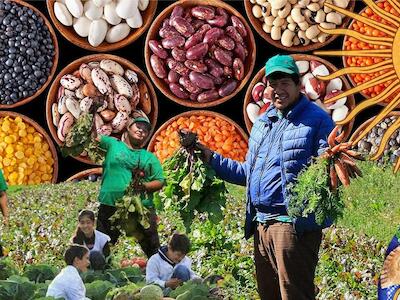“Transformações agrárias de mãos dadas com a conscientização da sociedade urbana organizada”
