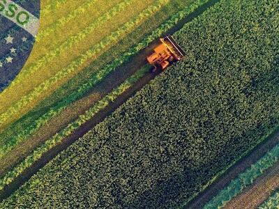 Una nueva plaga para la soya transgénica BT en Brasil. Boletín N° 809 de la RALLT