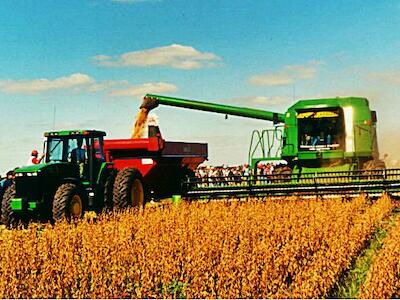 Veinte años en que las agroindustrias han devastado los sistemas alimentarios