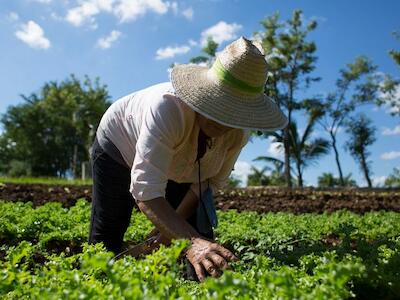¿Y si pensamos otra agricultura?