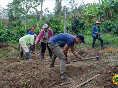 La Reforma Agraria y la Tenencia de la Tierra en Colombia