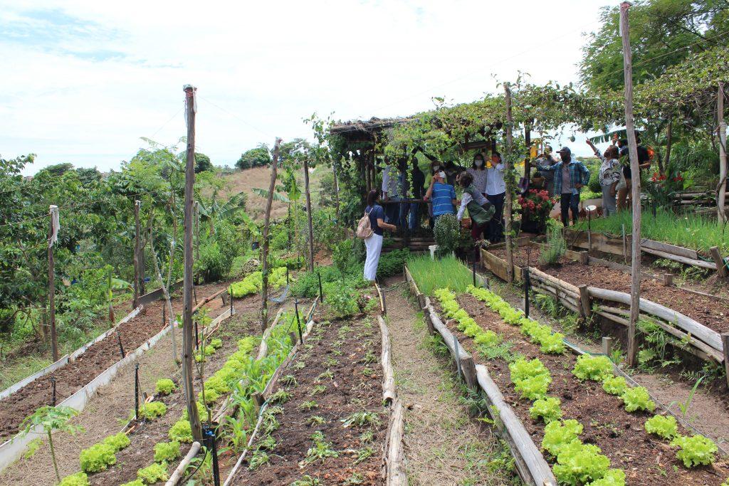 A agricultura urbana em São Paulo e Belo Horizonte: Uma proposta de  abordagem das relações urbano-rural no contexto metropolitano