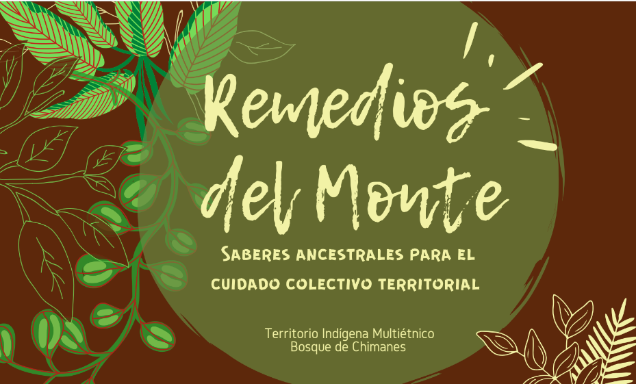 Indígenas amazónicos de Bolivia lanzan recetario de medicina ancestral |  Biodiversidad en América Latina