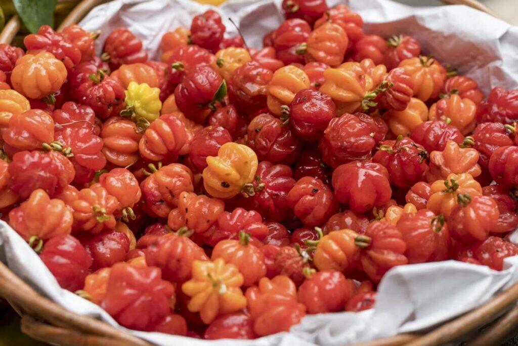 Volver a la producción de frutas nativas en el monte chaqueño