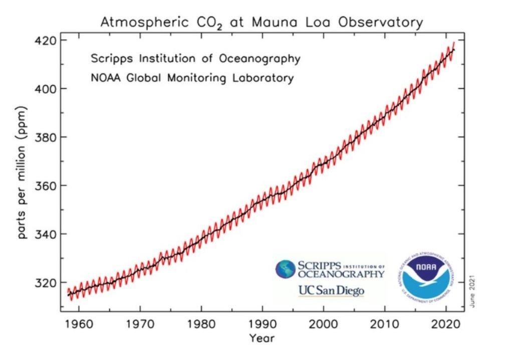La concentración de CO2 no deja de crecer: nuevo récord global |  Biodiversidad en América Latina