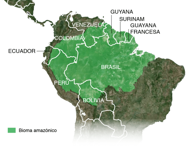Destrucción del Amazonas las principales amenazas para la