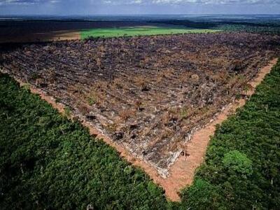 Amazônia brasileira sofre os impactos da pandemia