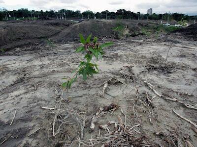 Ariel Ávila: Hay procesos de acaparamiento de tierras en la zona