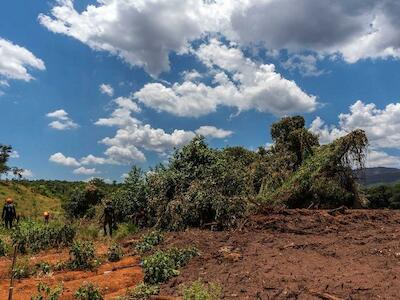 Brumadinho: un millón de afectados