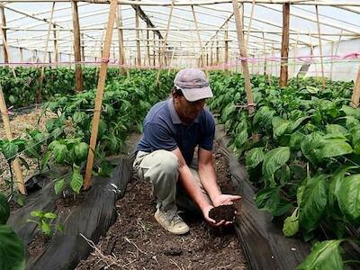 Charco de Arena:  Comunicación con Carlos Vicente sobre Agroecología 