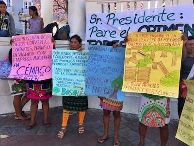 Continúa la lucha de las mujeres Emberá contra el extractivismo de madera