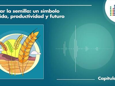 Cuidar la semilla: un símbolo de vida, productividad y futuro