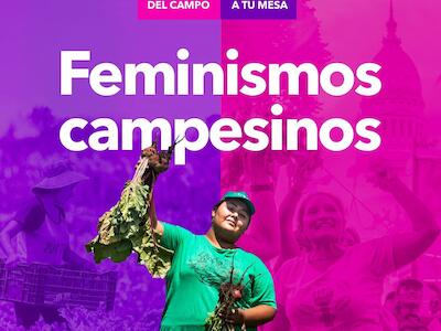 Del campo a tu mesa: feminismos campesinos
