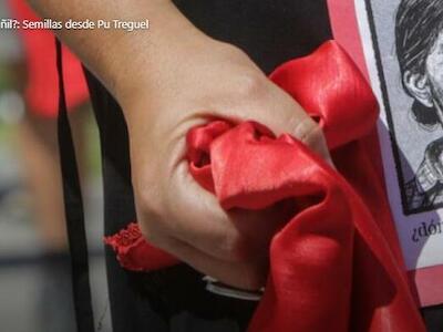 ¿Dónde está Julia Chuñil?: semillas desde Pu Treguel