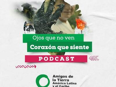 Episodio #1 | Legal y obligatorio: una historia contra la impunidad empresarial