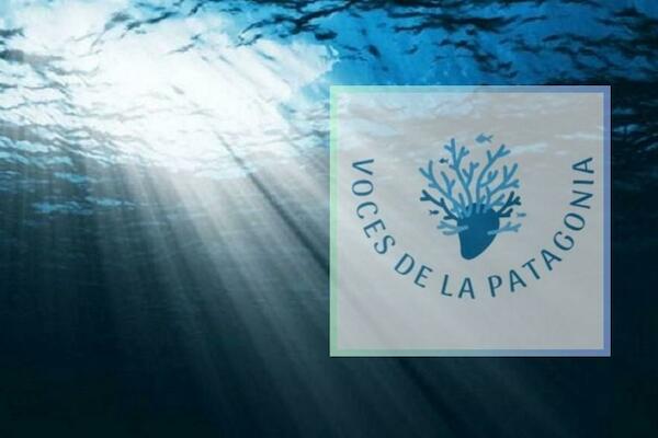 Episodio 2 "Voces de la Patagonia": los secretos bentónicos del fondo marino del sur del mundo