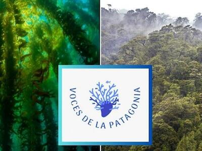 Episodio 3 "Voces de la Patagonia": los pulmones del fin del mundo
