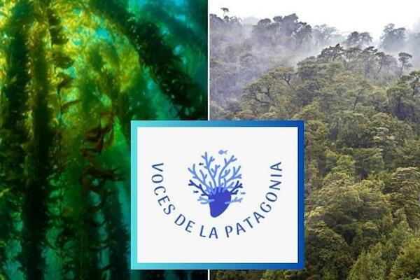 Episodio 3 "Voces de la Patagonia": los pulmones del fin del mundo