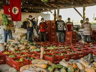 Foto: Vía Campesina