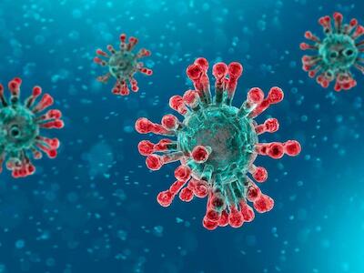 La pandemia del coronavirus y el enfoque socioambiental