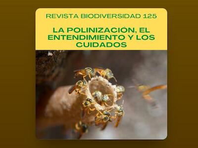 La polinización, el entendimiento y los cuidados - Podcast de la Revista Biodiversidad