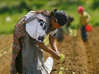 Los pueblos de Latinoamérica luchan contra la imposición de transgénicos