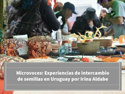 Microvoces #3 : Experiencias de intercambio de semillas en Uruguay por Irina Aldabe