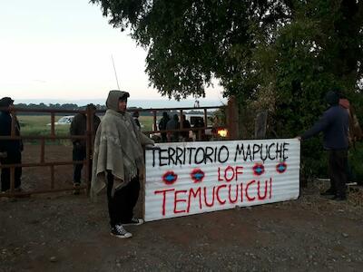 Pueblo mapuche en marcha