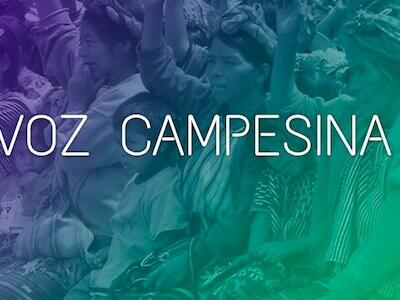 Voz campesina 62