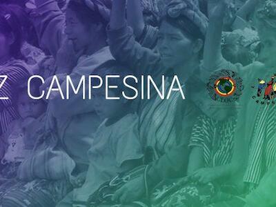 Voz campesina 67: Propuestas de la CLOC en el Decenio de la Agricultura Familiar, Campesina e Indígena y mucho más