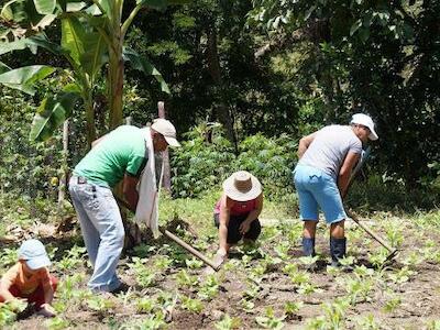 Voz Campesina 73: Volver al campo 