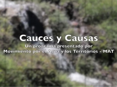 Cauces y Causas #8: Paine, Chada y Culitrin