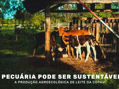 A pecuária pode ser sustentável? A produção agroecológica de leite de Copavi