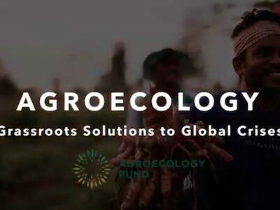 Agroecología: soluciones de base frente a las crisis mundiales