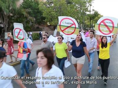 Agroindustria y resistencia de las abejas en Los Chenes