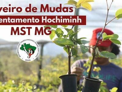 Conheça o Viveiro Ecológico do assentamento Hochiminh, em MG