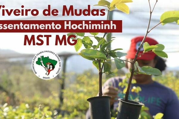 Conheça o Viveiro Ecológico do assentamento Hochiminh, em MG