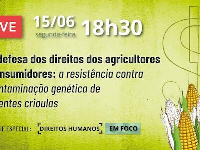 Contaminação de sementes crioulas e impactos para agricultores e consumidores