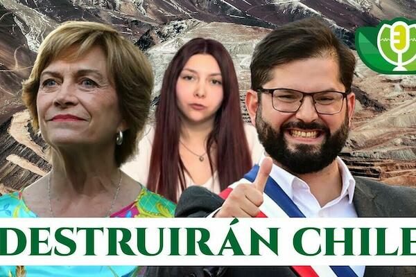 Declaraciones juradas y silencio administrativo: ambientalistas identifican las “trampas” de proyecto para acelerar inversiones