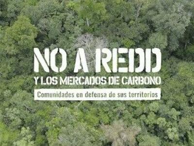 Documental: NO a REDD y los mercados de carbono
