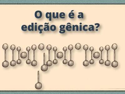 Edição genética e organismos transgênicos: a mesma coisa, mas com mais riscos