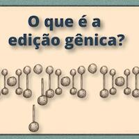 Edição genética e organismos transgênicos: a mesma coisa, mas com mais riscos
